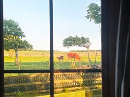 View from pod window.