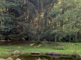 Photo du camping