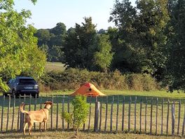 Tree-backed pitches