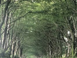 En route to the farm
