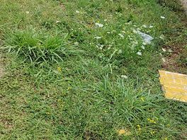 Piazzola sotto al sole con erba non curata, fronte fiume e quindi pieno anche di zanzare.