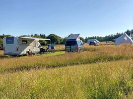 Grass pitches