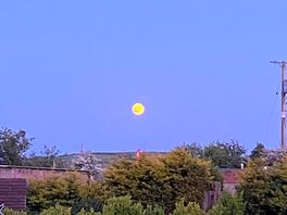 Strawberry moon