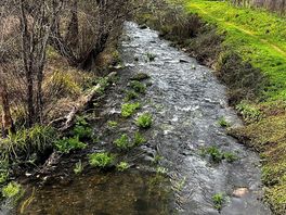 Ruta