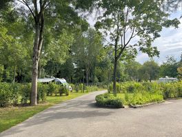 Naturig plads