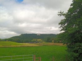 The view from pitch 2