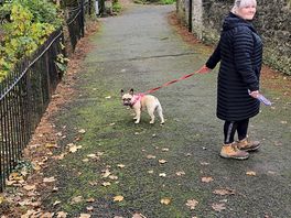 The wife walking