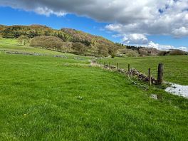Camping field with a slight slope