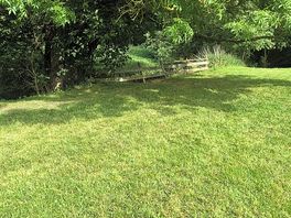 Stream