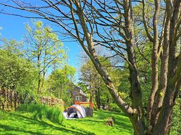 Visitor image of the non-electric grass tent pitch