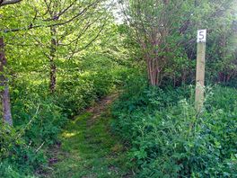 Pitch 5 entrance