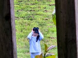 Bird watching with the added extras