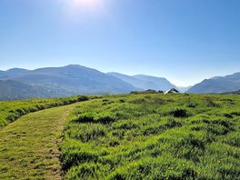 Yr wyddfa