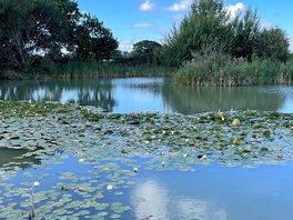 Wildlife & fishing pond at far end of site