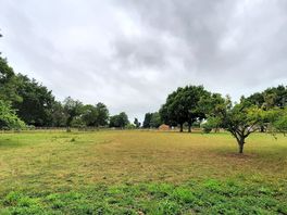 Views around the site