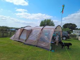 Our pitch