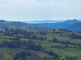 View from the site
