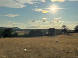 View across the field