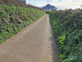 Not far from the mount