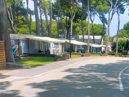 Bungalows