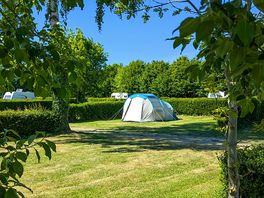 Grass pitches