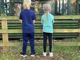 Seeing the owls :)