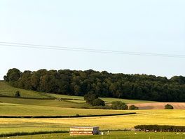 View from pitch 3