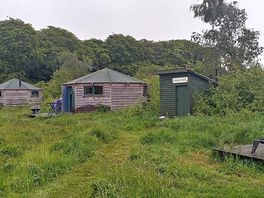 Glamping huts