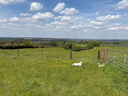 Valley view