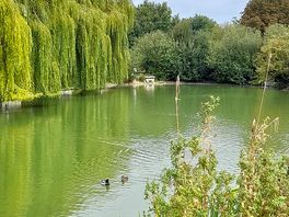 Fishing lakes, well stocked.