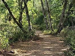 Walk to campsite