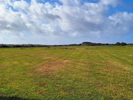 Lots of open space