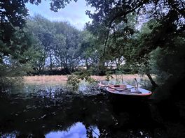 Lake evening
