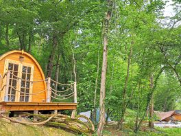 Pod and pitches