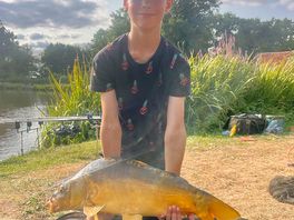 A beautiful carp