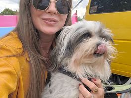 Dog loved it