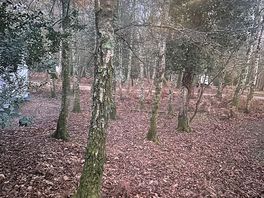 View from my bedroom window ❤️