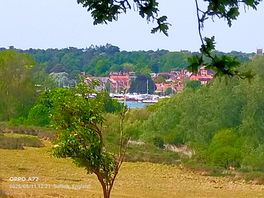 Sutton hoo house garden view