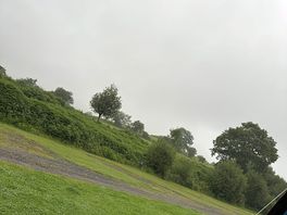 Nice view