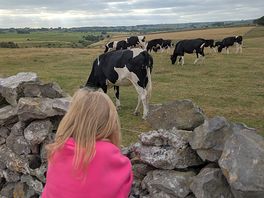 Our neighbours :)