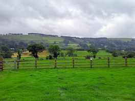 Beautiful views