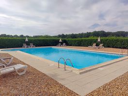 Clean swimming pool