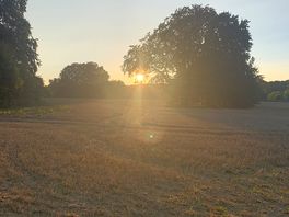 Lovely woodland walk around the village