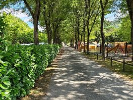 Green paradise
