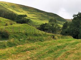 View along field