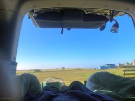 Morning view