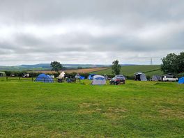 The site