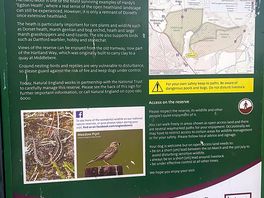 Hartland moor