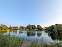 Trout lake view