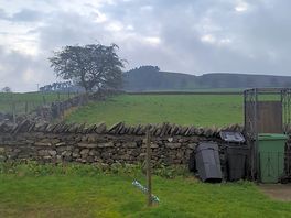 View from the rear of the site